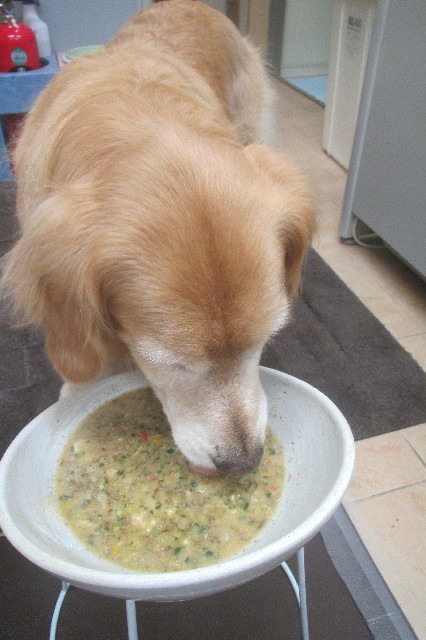 ファイル 3541-1.jpg