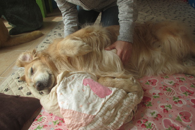 ファイル 3541-5.jpg