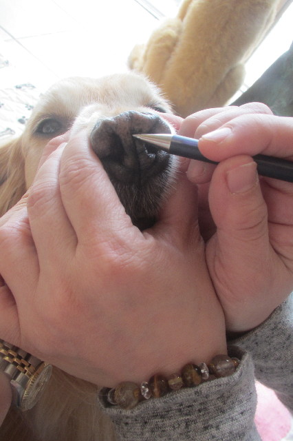 ファイル 3542-1.jpg