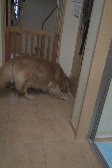 ファイル 3542-4.jpg