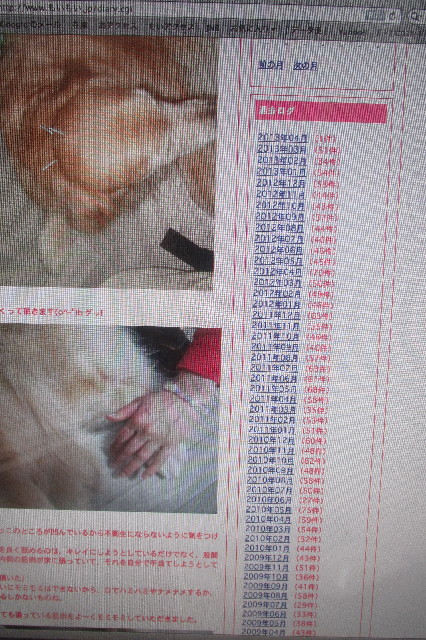 ファイル 3547-3.jpg