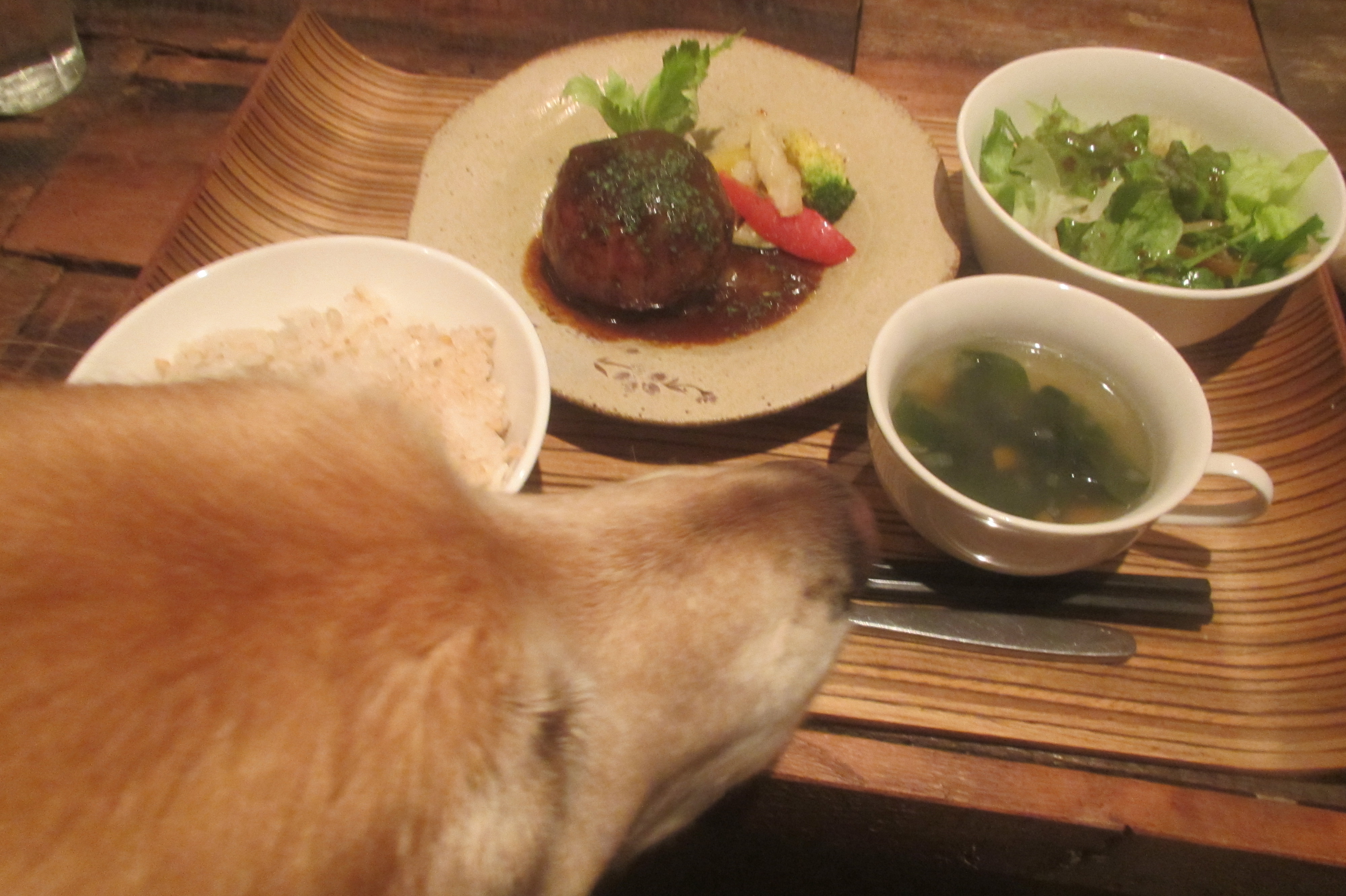 ファイル 3548-1.jpg