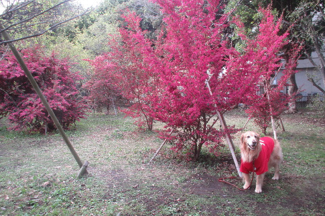 ファイル 3549-3.jpg