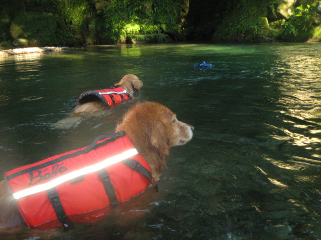 ファイル 355-1.jpg