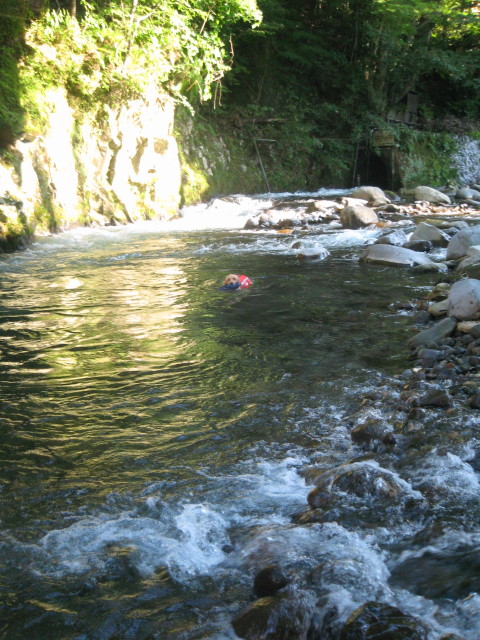 ファイル 355-2.jpg