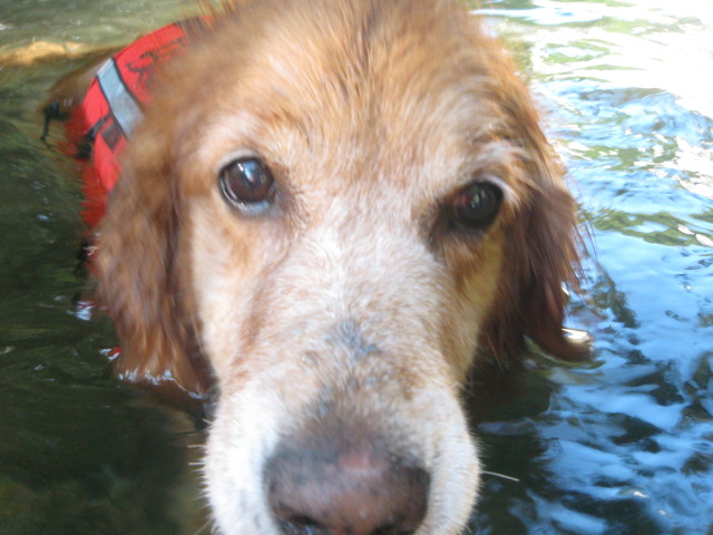 ファイル 355-4.jpg