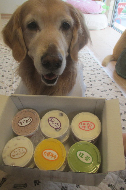 ファイル 3552-3.jpg