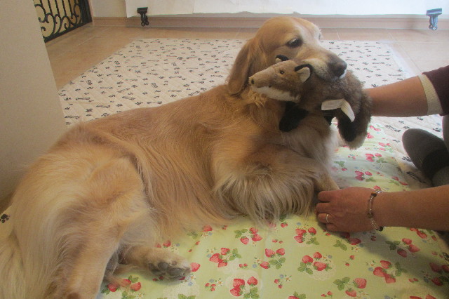 ファイル 3552-5.jpg