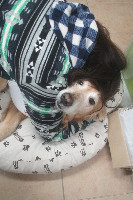 ファイル 3553-2.jpg