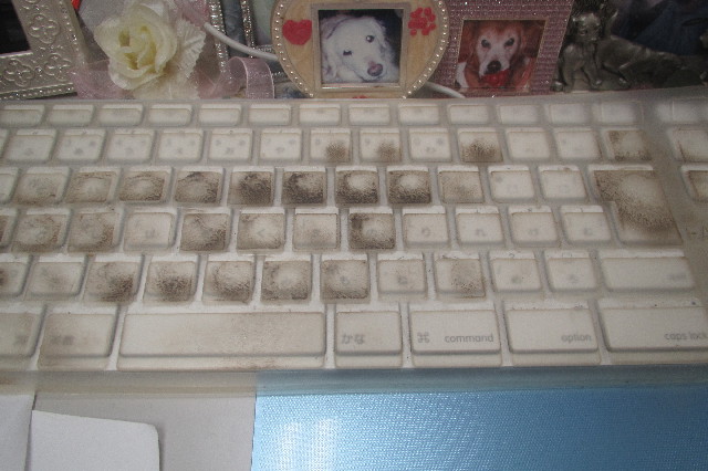 ファイル 3555-4.jpg