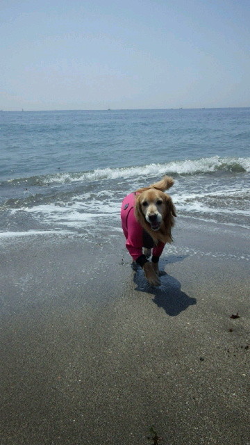 ファイル 3556-4.jpg