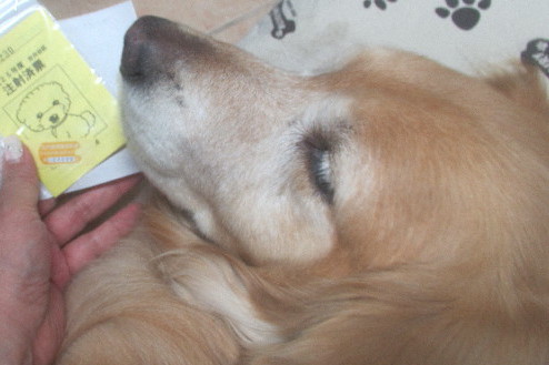 ファイル 3557-4.jpg