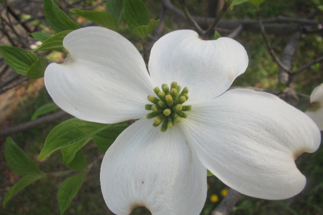 ファイル 3558-5.jpg