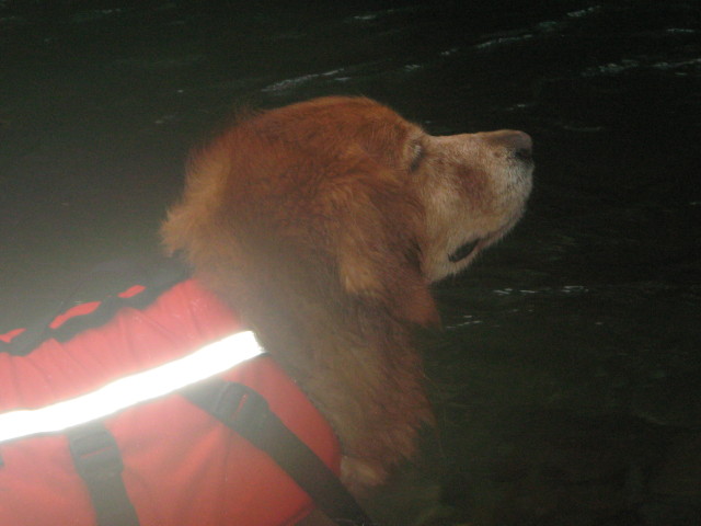 ファイル 356-2.jpg