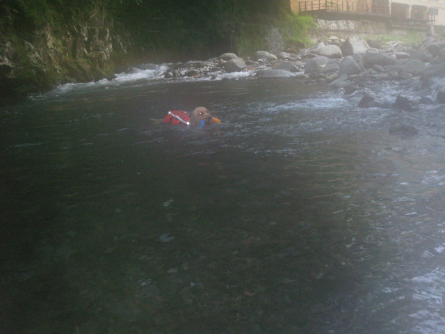 ファイル 356-3.jpg