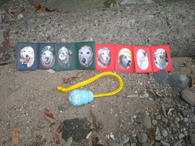 ファイル 356-4.jpg