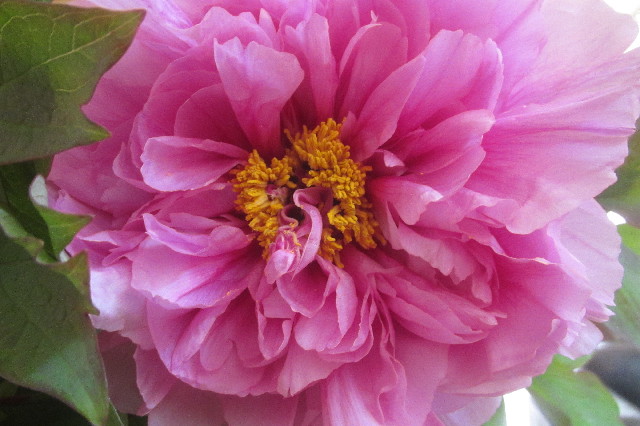 ファイル 3560-4.jpg