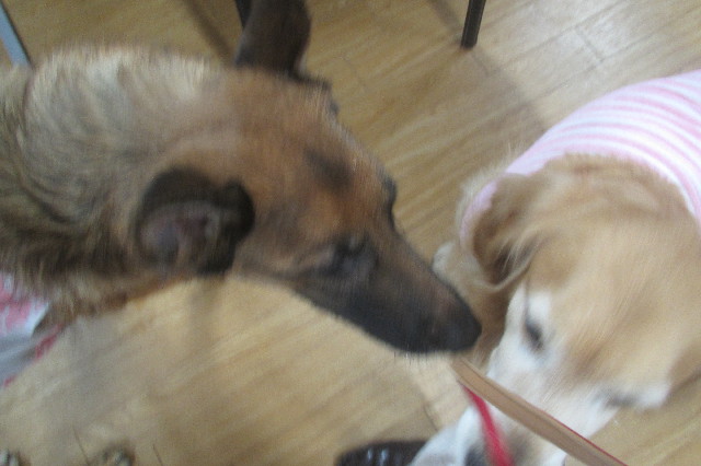 ファイル 3561-3.jpg