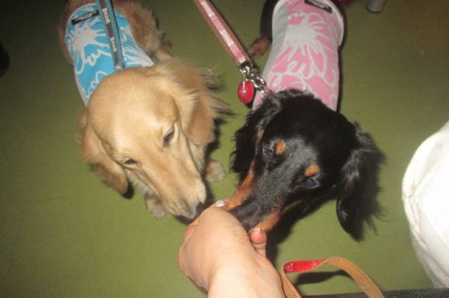 ファイル 3562-3.jpg