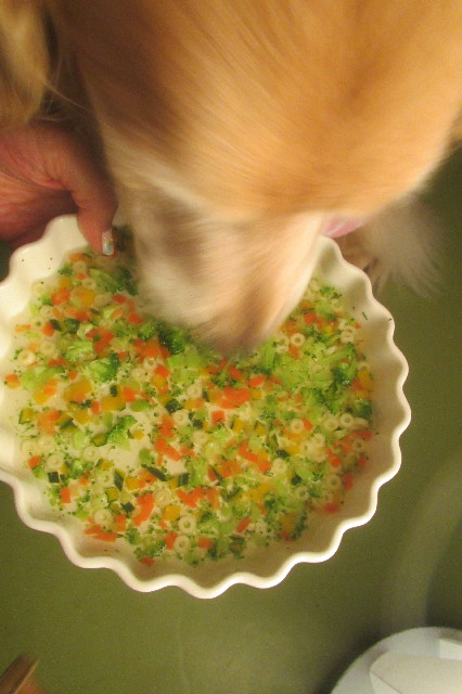 ファイル 3562-4.jpg