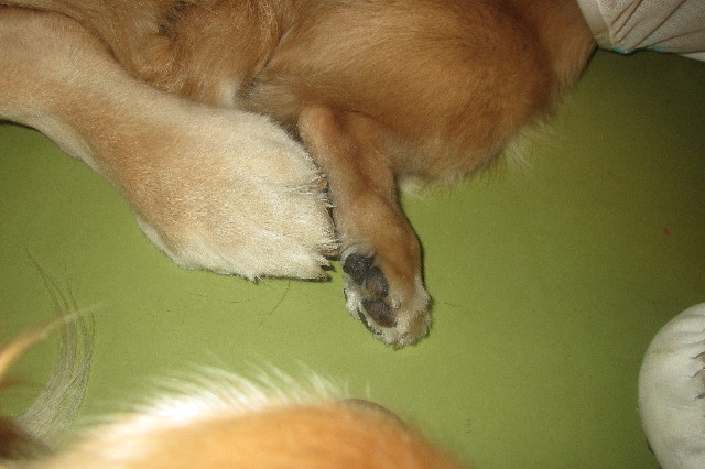 ファイル 3562-5.jpg