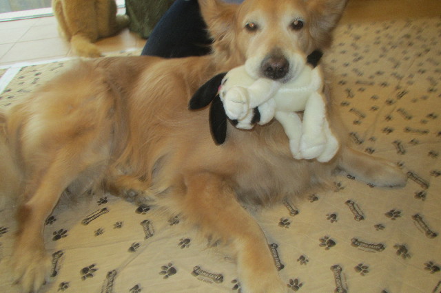 ファイル 3567-2.jpg