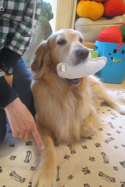 ファイル 3567-3.jpg