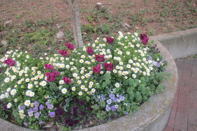 ファイル 3568-4.jpg