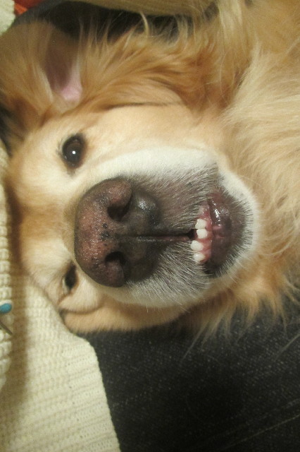 ファイル 3569-5.jpg