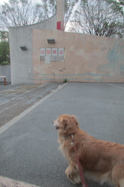 ファイル 3570-3.jpg