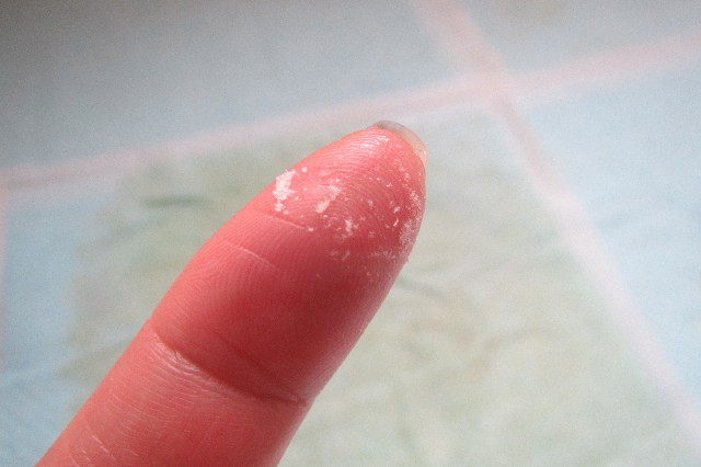 ファイル 3571-2.jpg