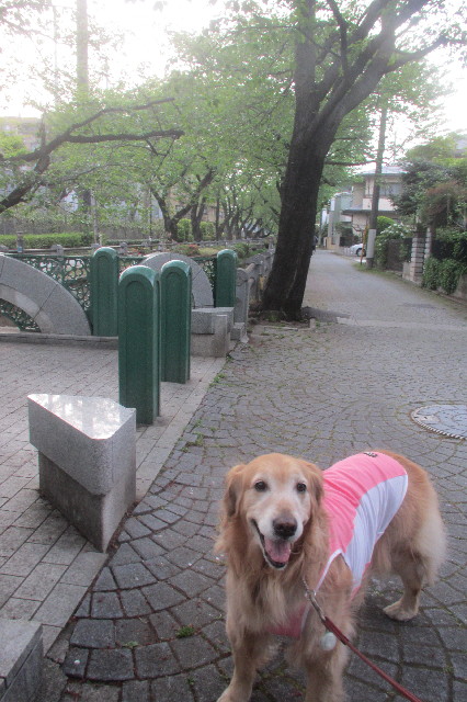 ファイル 3572-2.jpg