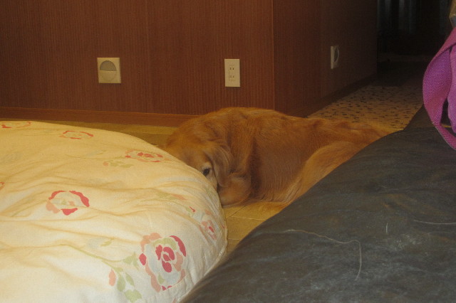 ファイル 3573-4.jpg