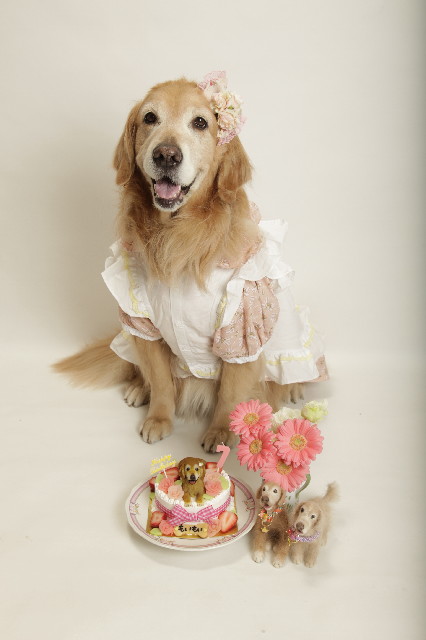 ファイル 3576-1.jpg