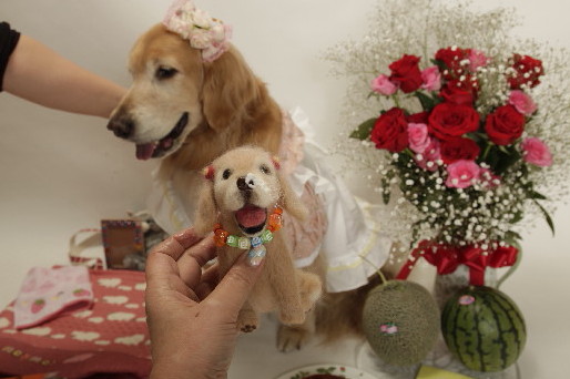 ファイル 3576-3.jpg