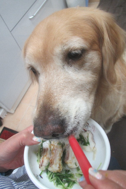 ファイル 3578-4.jpg