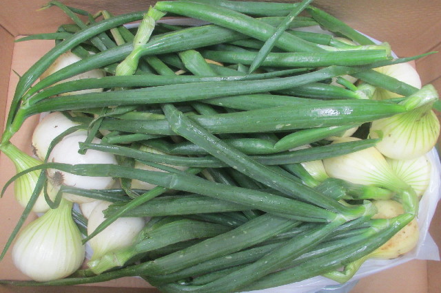 ファイル 3579-3.jpg