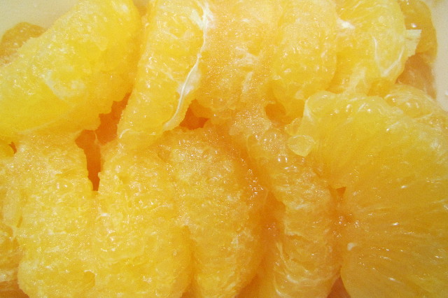 ファイル 3579-4.jpg