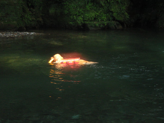 ファイル 358-3.jpg