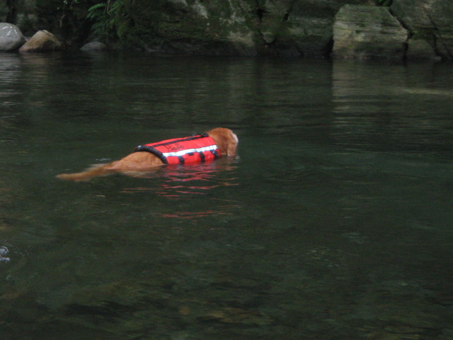 ファイル 358-4.jpg