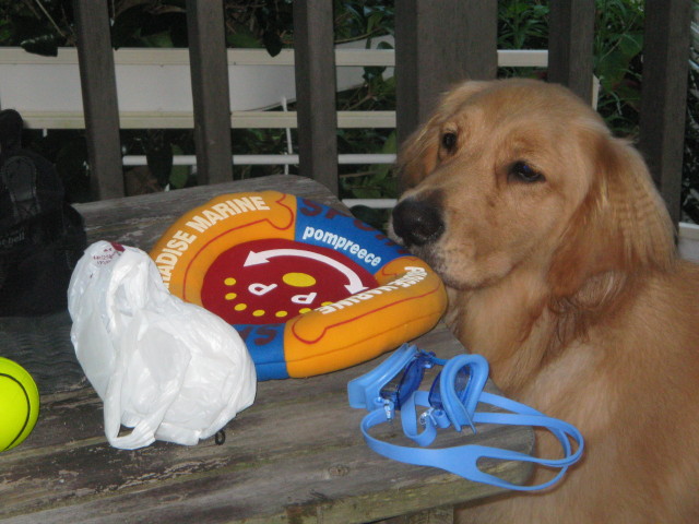 ファイル 358-5.jpg