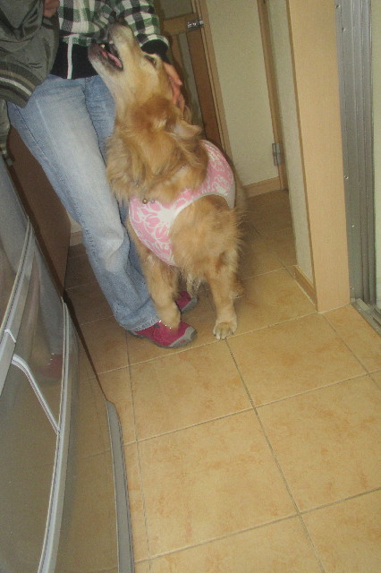 ファイル 3581-3.jpg