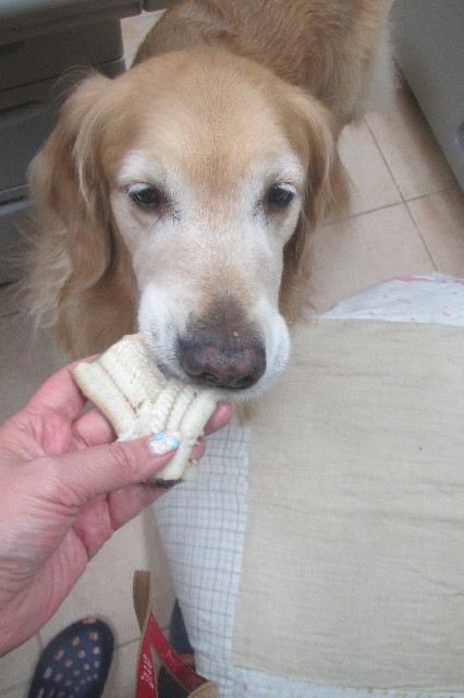 ファイル 3582-3.jpg