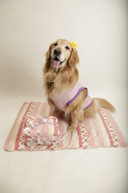 ファイル 3583-2.jpg