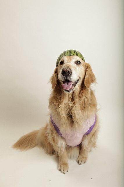 ファイル 3583-3.jpg