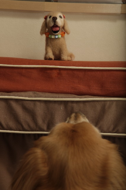 ファイル 3584-1.jpg