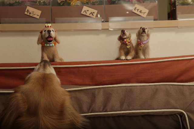 ファイル 3584-5.jpg