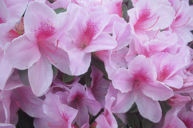 ファイル 3585-4.jpg