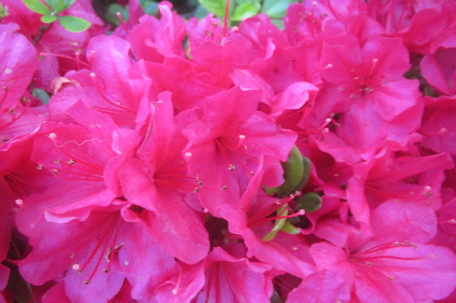 ファイル 3585-5.jpg