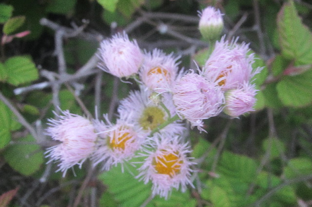 ファイル 3586-4.jpg